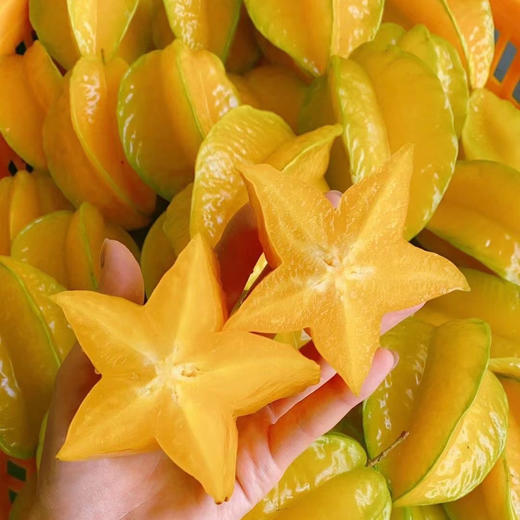 【下单后48小时左右发货】福建漳州软枝树上熟杨桃  3斤左右 约6-8个 清甜可口 水分足 鲜嫩多汁 ，纤维少、果脆汁多、甜酸可口、芳香清甜 商品图4