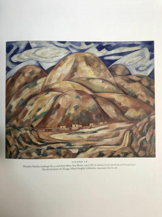 芝加哥西部艺术图集 91幅插图 精装大16开 商品图6