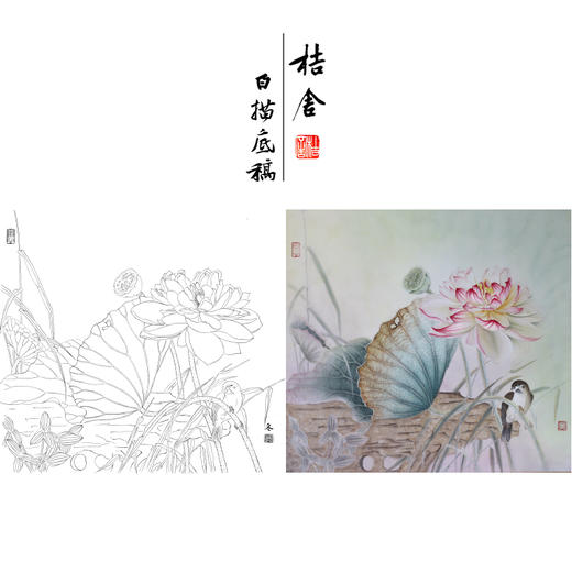 【有步骤、大彩图】杨冬冬工笔画白描底稿斗方小品《熏风》荷花初学者临摹花鸟线稿HD55 商品图0