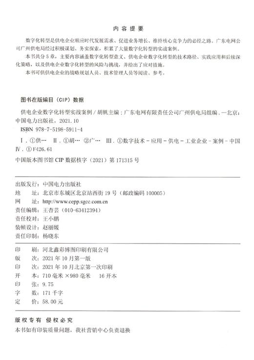 供电企业数字化转型实战案例 商品图2
