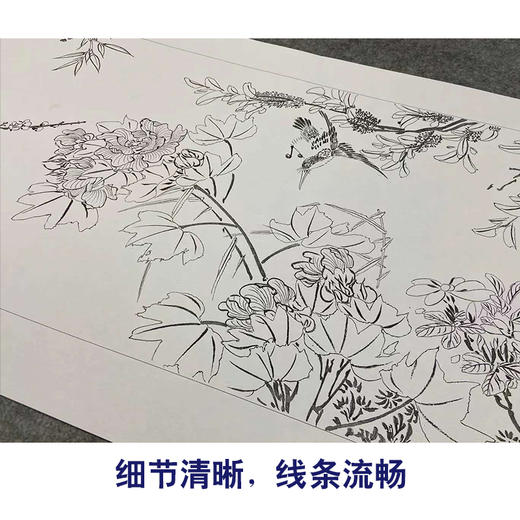 【长卷】工笔画白描底稿古画长卷《四时花鸟图》多种白描尺寸可选G026 商品图3