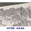 【长卷】工笔山水画白描底稿古画长卷王翚《松乔堂图》多种白描尺寸可选G036 商品缩略图3