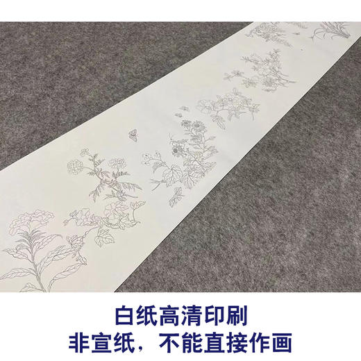 【长卷】工笔画白描底稿古画长卷佚名《古代花鸟图》多种白描尺寸可选G030 商品图2