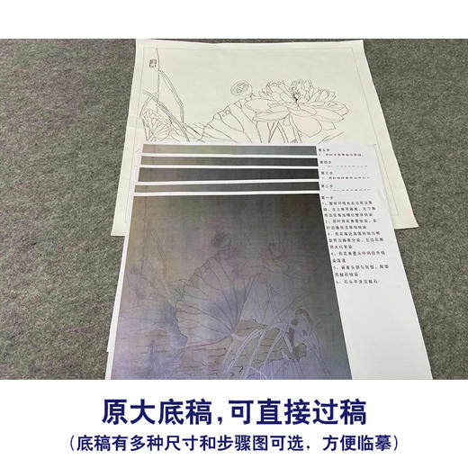 【有步骤、大彩图】杨冬冬工笔画白描底稿斗方小品《熏风》荷花初学者临摹花鸟线稿HD55 商品图1