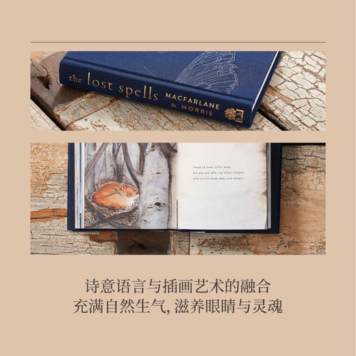 嘉德文库|【企鹅兰登】The Lost Spells 遗失的咒语 绘本 精致口袋小开本 凯特·格林纳威奖获奖作品 充满艺术与诗意 英文原版书 商品图3