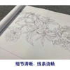 【长卷】工笔花鸟画白描底稿古画长卷恽寿平《百花图卷》多种白描尺寸可选G040 商品缩略图3