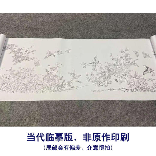 【长卷】工笔花鸟画白描底稿国画长卷郎世宁余省《百蝶图》多种白描尺寸可选G021 商品图1