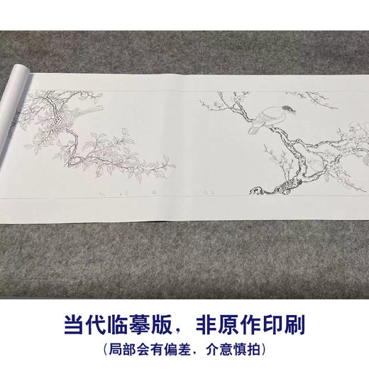 【长卷】工笔花鸟画白描底稿古画长卷佚名《花卉翎毛图》多种白描尺寸可选G039 商品图1