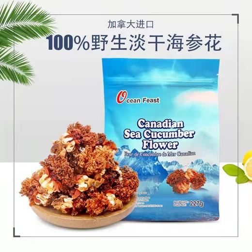 Ocean Feast加拿大野生海参花227g滋补炖汤食材（一般贸易） 商品图0