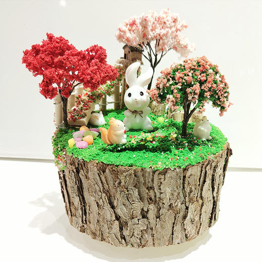 【手工】创意微景观 商品图2