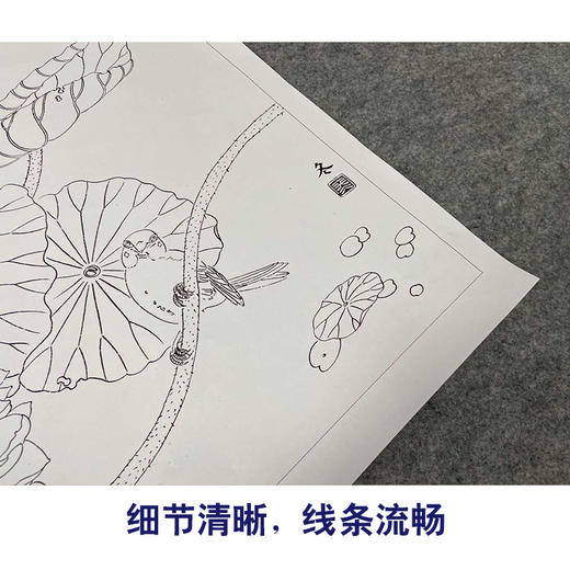 【有步骤、大彩图】杨冬冬工笔画白描底稿斗方小品《清池素影》荷花麻雀初学者临摹花鸟线稿HD52 商品图4