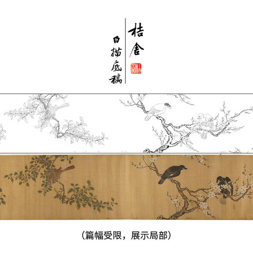 【长卷】工笔花鸟画白描底稿古画长卷佚名《花卉翎毛图》多种白描尺寸可选G039 商品图0
