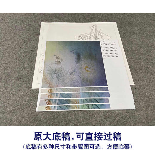 【有步骤、大彩图】杨冬冬工笔画白描底稿斗方小品《梦水瑶》荷花麻雀初学者临摹花鸟线稿HD54 商品图1