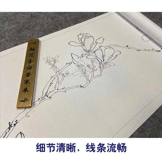 【长卷】工笔花鸟画白描底稿古画长卷文徵明《白玉兰图》多种白描尺寸可选G022 商品图3