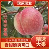 云南桃子新鲜10斤脆甜非丽江雪桃水蜜桃大冬桃大果孕妇红心现摘发 商品缩略图0