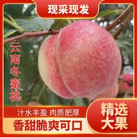 云南桃子新鲜10斤脆甜非丽江雪桃水蜜桃大冬桃大果孕妇红心现摘发