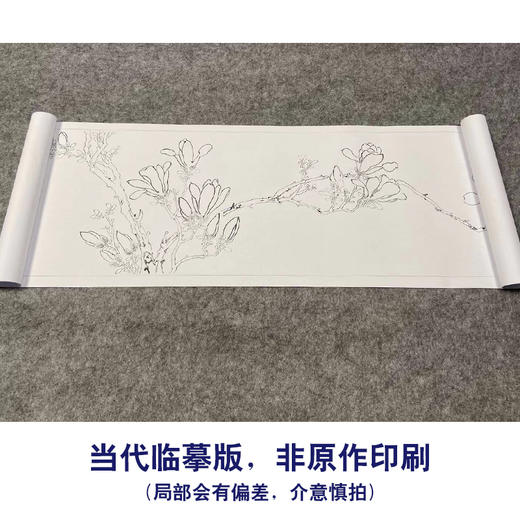 【长卷】工笔花鸟画白描底稿古画长卷文徵明《白玉兰图》多种白描尺寸可选G022 商品图1