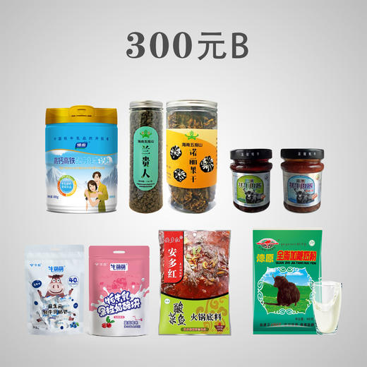 【预售】300元帮扶B套餐 商品图0
