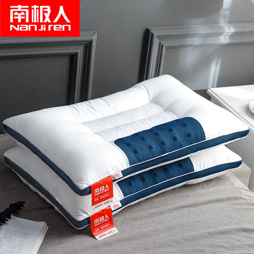 TZW-全棉枕头决明子成人护颈椎枕头芯单双人枕芯家用一对套装 商品图0