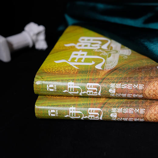 伊朗 被低估的文明与未完成的变革 商品图1