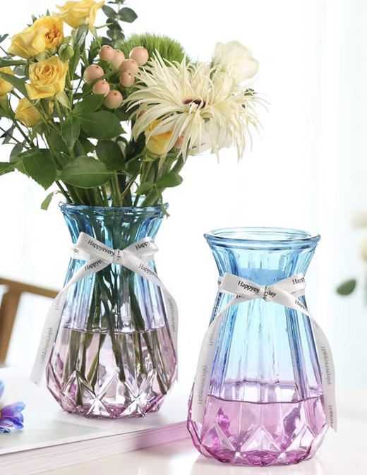 【欧式简约花瓶】更适合家庭插花的大小 商品图1