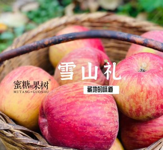 【2025新一批】海拔3000米，靠山吃山，饮用雪山净水【藏地苹果｜雪山礼】甘甜汁多，脆爽可口 商品图3
