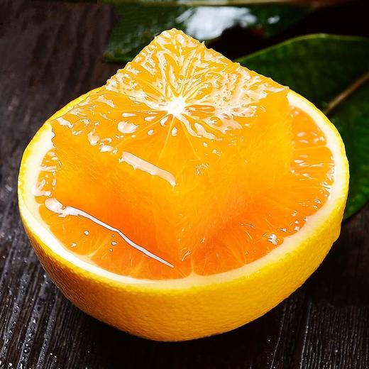 【严选】秭归中华红橙小果/中大果（基地直发） 商品图0