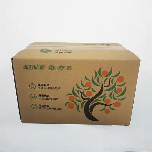 【严选】秭归中华红橙小果/中大果（基地直发） 商品图4