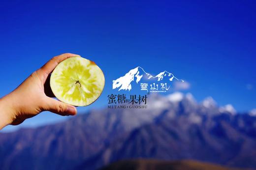 【2025新一批】海拔3000米，靠山吃山，饮用雪山净水【藏地苹果｜雪山礼】甘甜汁多，脆爽可口 商品图4