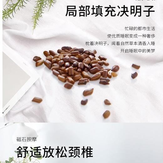 TZW-全棉枕头决明子成人护颈椎枕头芯单双人枕芯家用一对套装 商品图4