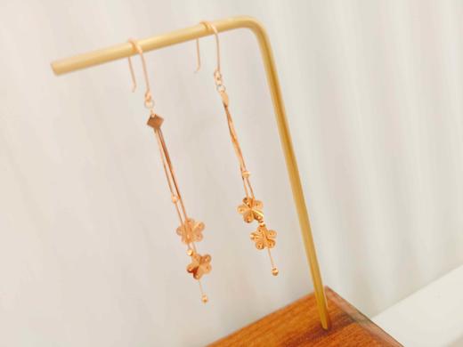 1F南洋恒信18k金耳饰 商品图0