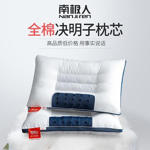 TZW-全棉枕头决明子成人护颈椎枕头芯单双人枕芯家用一对套装 商品图1