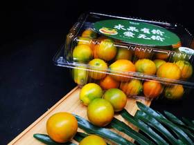 孩子的健康零食·止咳圣果·滑皮金桔