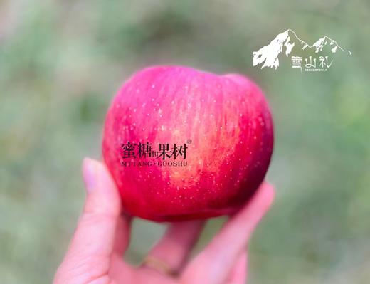 【2025新一批】海拔3000米，靠山吃山，饮用雪山净水【藏地苹果｜雪山礼】甘甜汁多，脆爽可口 商品图2