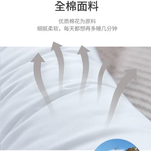 TZW-全棉枕头决明子成人护颈椎枕头芯单双人枕芯家用一对套装 商品图6