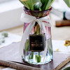 【欧式花瓶】更适合家庭插花的花瓶 商品缩略图1