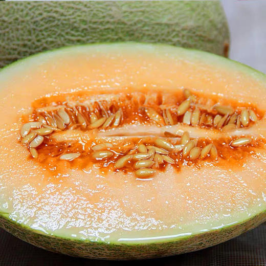 111北纬23蜜瓜甜脆可口哈密瓜