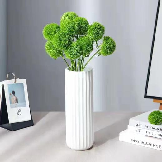 绿毛球【希望你永远迷人，富有生命力】简小姐精选新品 绿毛球9+1枝（防花损） 中通包邮 下单后48小时内发货 商品图7