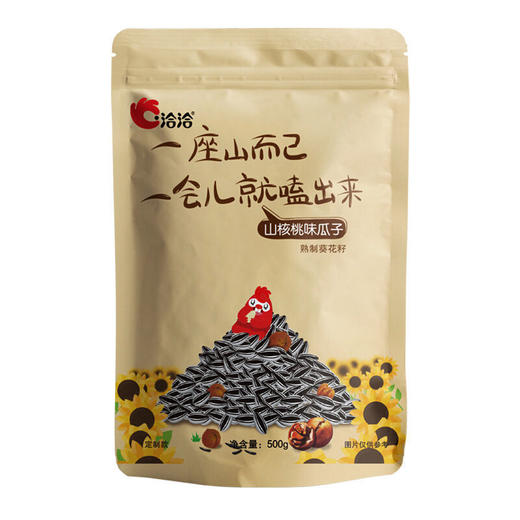 【洽洽新口味】洽洽瓜子500g焦糖海盐山核桃味葵花籽恰恰五香瓜子大包装炒货零食 商品图5