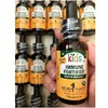 【100%美国有机认证-儿童肺草本滴剂】Immune Fortifier 30ml 小儿适合的肺气 灵芝+黄芪草本天然配方 上呼吸道免疫支持 商品缩略图0
