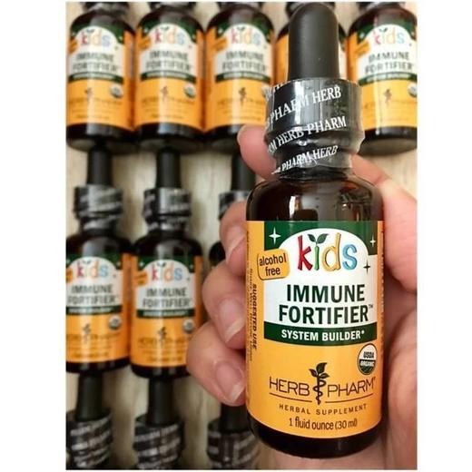 【100%美国有机认证-儿童肺草本滴剂】Immune Fortifier 30ml 小儿适合的肺气 灵芝+黄芪草本天然配方 上呼吸道免疫支持 商品图0