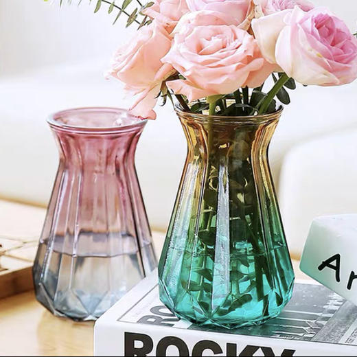 【欧式简约花瓶】更适合家庭插花的大小 商品图2