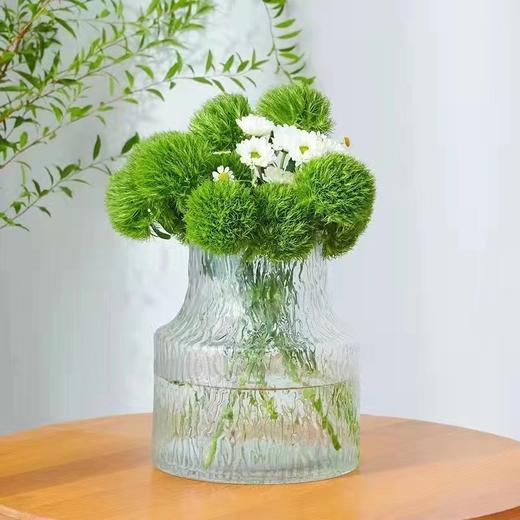 绿毛球【希望你永远迷人，富有生命力】简小姐精选新品 绿毛球9+1枝（防花损） 中通包邮 下单后48小时内发货 商品图6