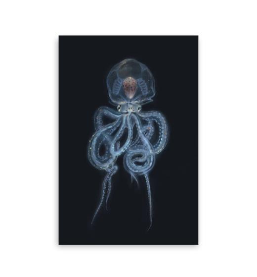 SCC 插画 《飘向秘境 03 》微喷复制画 商品图0