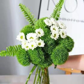 绿毛球【希望你永远迷人，富有生命力】简小姐精选新品 绿毛球9+1枝（防花损） 中通包邮 下单后48小时内发货