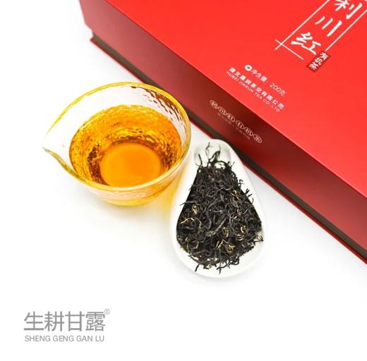 丨有机丨德米特生耕甘露有机茶 商品图3