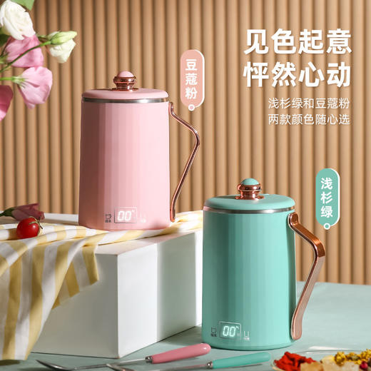 【全自动养生电炖杯】升级迷你办公室电炖杯 小型家用煮粥泡茶养生杯 商品图0