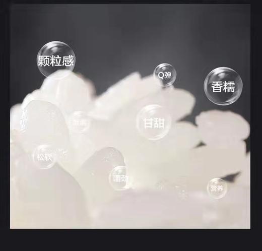 【6F】象印HBH10/18电饭煲 商品图1