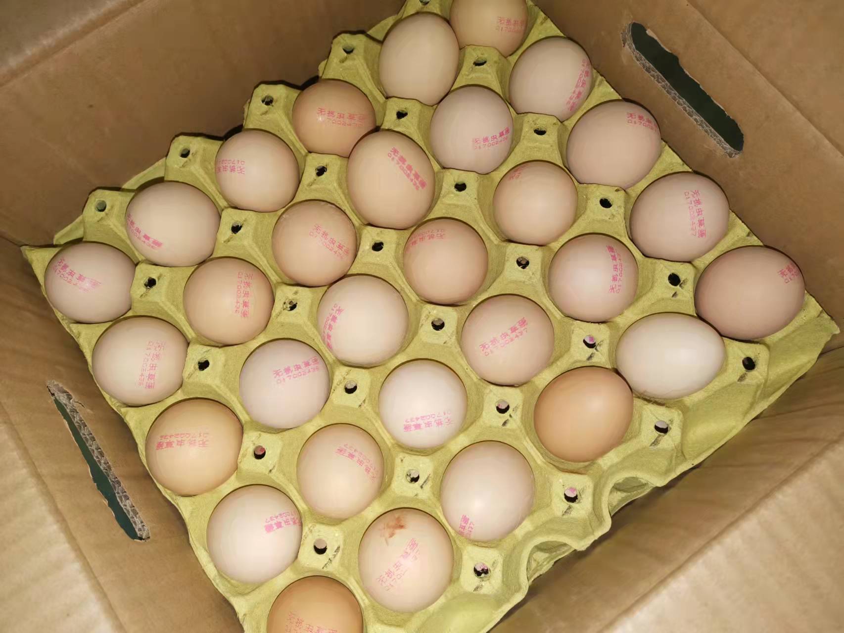 青野无抗虫草蛋