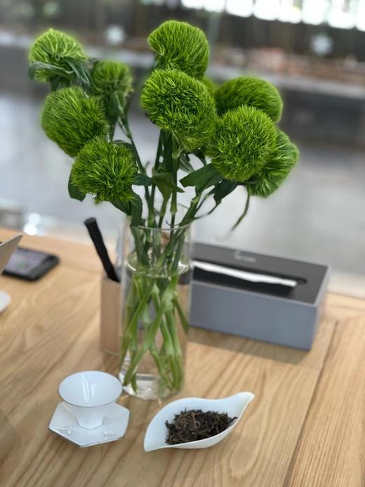 绿毛球【希望你永远迷人，富有生命力】简小姐精选新品 绿毛球9+1枝（防花损） 中通包邮 下单后48小时内发货 商品图2